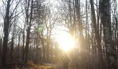 Percorso Marcia Béthemont-la-Forêt - Reconnaissance Sainte Radegonde - Photo 14