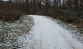 Randonnée Marche Béthemont-la-Forêt - Reconnaissance Sainte Radegonde - Photo 3