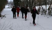 Trail Snowshoes Neufchâteau - Neufchâteau : bois d'Ospot - Photo 3