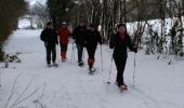 Tour Schneeschuhwandern Neufchâteau - Neufchâteau : bois d'Ospot - Photo 3