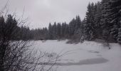 Tocht Sneeuwschoenen La Montagne - raquettes st bresson 14-01-17 - Photo 5