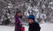 Tocht Sneeuwschoenen La Montagne - raquettes st bresson 14-01-17 - Photo 4
