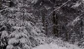 Trail Snowshoes La Montagne - raquettes st bresson 14-01-17 - Photo 3