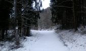 Trail Walking Ammerschwihr - Boucle Ammerschwihr Kientzheim Kaysersberg  - Photo 2