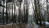 Trail Walking Villers-la-Ville - Villers-la-Ville Proxirando 15 01 2017 - Photo 17