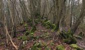 Percorso Marcia Seraing - la roche aux faucons - Photo 14