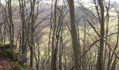 Randonnée Marche Seraing - la roche aux faucons - Photo 11