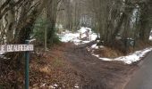 Trail Walking Seraing - la roche aux faucons - Photo 9