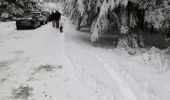 Tour Wandern Libramont-Chevigny - marche des flocons - Photo 4