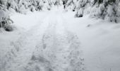 Tour Wandern Libramont-Chevigny - marche des flocons - Photo 1