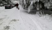 Trail Walking Libramont-Chevigny - marche des flocons - Photo 4