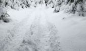 Trail Walking Libramont-Chevigny - marche des flocons - Photo 1