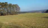 Excursión Senderismo Grez-Doiceau - Florival Nathalie Demain 17 01 2017 - Photo 12