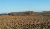 Excursión Senderismo Grez-Doiceau - Florival Nathalie Demain 17 01 2017 - Photo 10