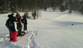 Randonnée Raquettes à neige Le Thillot - chaillon - Photo 1