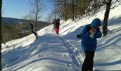 Excursión Raquetas de nieve Le Thillot - le  - Photo 1