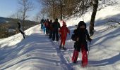 Trail Snowshoes Le Thillot - le  - Photo 2