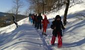 Randonnée Raquettes à neige Le Thillot - le  - Photo 2