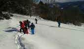 Trail Snowshoes Le Thillot - le  - Photo 4