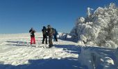 Trail Snowshoes Lepuix - Ballon d'Alsace, auberge du Langenberg  - Photo 3