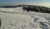 Trail Snowshoes Lepuix - Ballon d'Alsace, auberge du Langenberg  - Photo 7