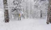 Percorso Racchette da neve Léoncel - Le Grand Echaillon 18 12 2017 - Photo 6