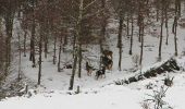 Randonnée Raquettes à neige Herbeumont - Rando des mouflons - Photo 1