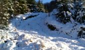 Excursión Raquetas de nieve Herbeumont - Rando des mouflons - Photo 7