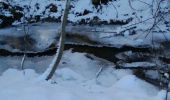 Randonnée Raquettes à neige Herbeumont - Rando des mouflons - Photo 5