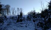 Excursión Raquetas de nieve Herbeumont - Rando des mouflons - Photo 3