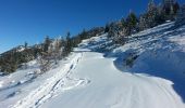 Trail Snowshoes Lans-en-Vercors - Le Moucherotte depuis Lans - Photo 7