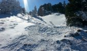 Trail Snowshoes Lans-en-Vercors - Le Moucherotte depuis Lans - Photo 6
