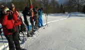 Trail Snowshoes Le Thillot - la vierge fugueuse - Photo 1