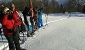 Randonnée Raquettes à neige Le Thillot - la vierge fugueuse - Photo 1