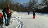 Trail Snowshoes Le Thillot - la vierge fugueuse - Photo 2