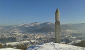 Tocht Sneeuwschoenen Le Thillot - la vierge fugueuse - Photo 3