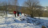 Trail Snowshoes Le Thillot - la vierge fugueuse - Photo 4