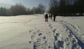 Tocht Sneeuwschoenen Le Thillot - la vierge fugueuse - Photo 5