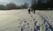 Randonnée Raquettes à neige Le Thillot - la vierge fugueuse - Photo 5