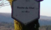 Percorso Racchette da neve Florenville - Les Epioux - La Roche du Chat - Photo 1