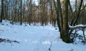 Tocht Stappen Bogny-sur-Meuse - neige entre Loup et Liry - Photo 2