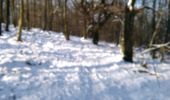 Randonnée Marche Bogny-sur-Meuse - neige entre Loup et Liry - Photo 1