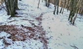 Trail Walking Bogny-sur-Meuse - neige entre Loup et Liry - Photo 14