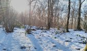 Trail Walking Bogny-sur-Meuse - neige entre Loup et Liry - Photo 7