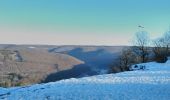 Trail Walking Bogny-sur-Meuse - neige entre Loup et Liry - Photo 5