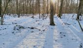 Percorso Marcia Bogny-sur-Meuse - neige entre Loup et Liry - Photo 4