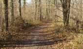 Trail Walking Pontcarré - CRAB : De Férrières à Armainvilliers - Photo 13