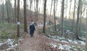 Tour Wandern Genappe - 2017-01-22 Ways - Bousval - Photo 10