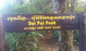 Trail Walking Unknown - Doi Oui Peak - Photo 8