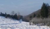Randonnée Raquettes à neige Herbeumont - Rando : Pont de la Gayette - L'Antrogne - Photo 4